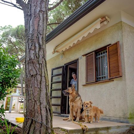 Arco Bungalow Эраклея-Маре Экстерьер фото